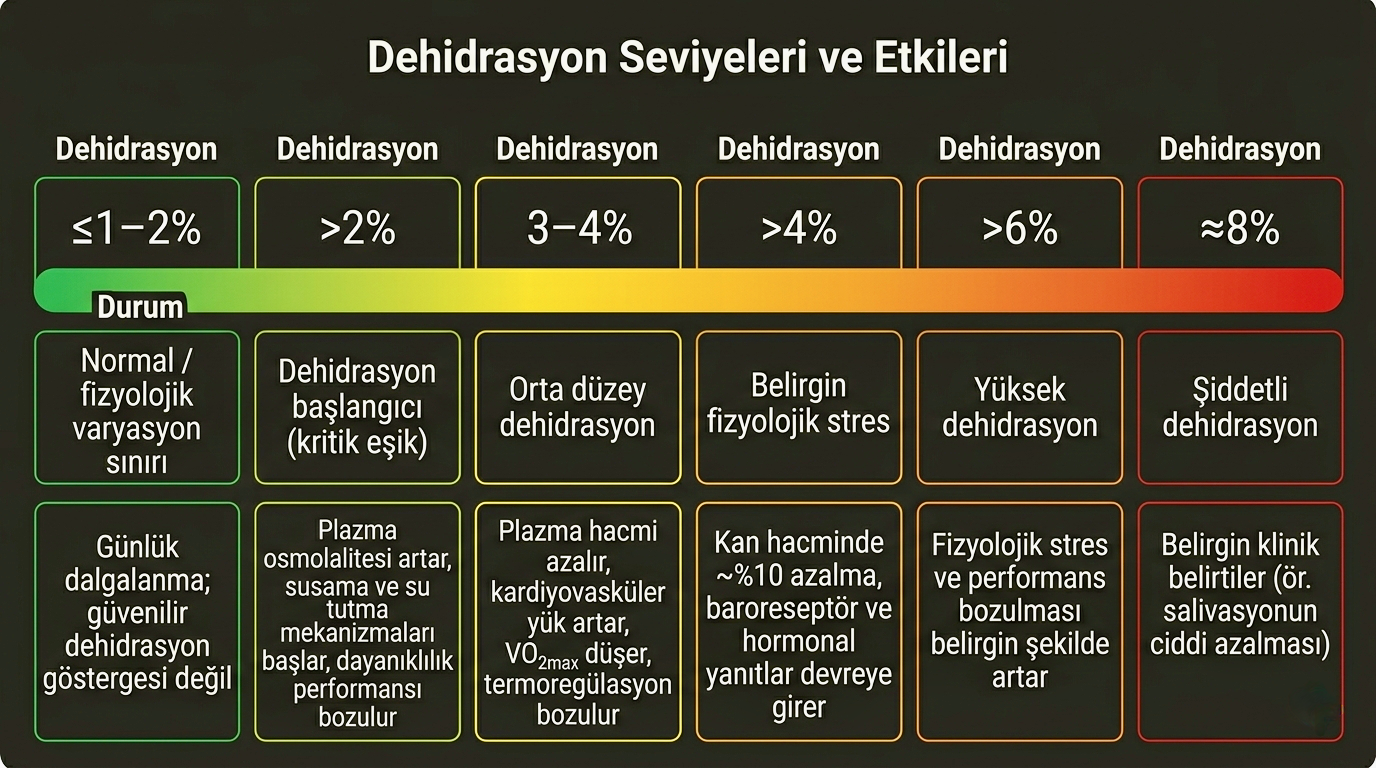Dehidrasyon düzeyleri ve sağlık riskleri